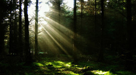 Timeline: A.P.U.S.H. 1918-2018