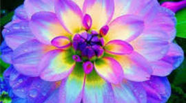 Timeline: MI HISTORIA DE VIDA "ELIANA ANDREA CASTIBLANCO BARRIOS"