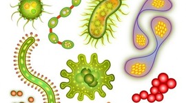 Timeline: El orígen