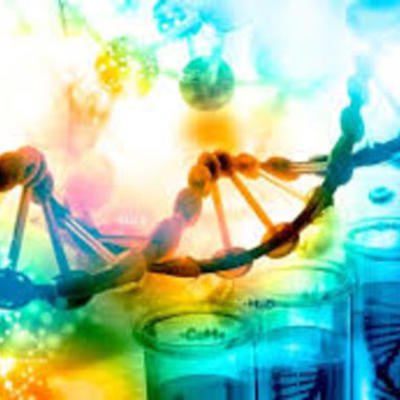 Timeline: Historia de la Biologia Molecular ALEJANDRO ABELLO