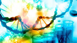 Timeline: Historia de la Biologia Molecular ALEJANDRO ABELLO