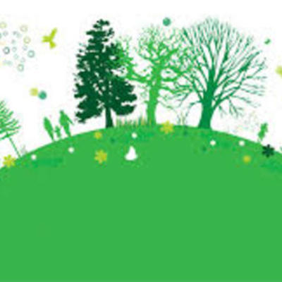 Timeline: Diversidad Biológica y los Ecosistemas