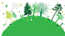 Timeline: Diversidad Biológica y los Ecosistemas