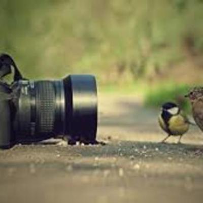 Timeline: historia de la fotografia