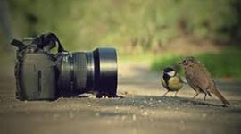 Timeline: historia de la fotografia