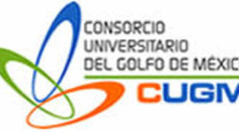 Timeline: Desarrollo Organizacional MAPyME Consorcio UGM