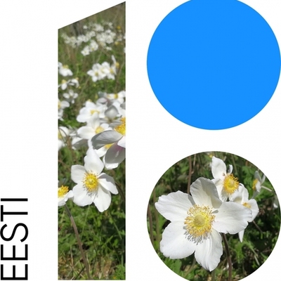 Timeline: Eestivabariik 100