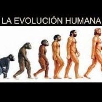 Timeline: evolución del hombre