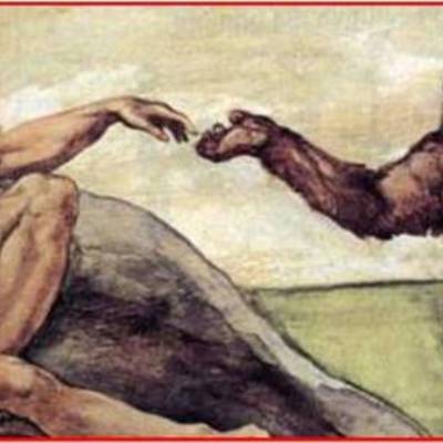 Timeline: EVOLUCIÓN DEL HOMBRE