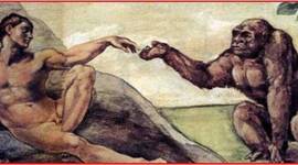 Timeline: EVOLUCIÓN DEL HOMBRE