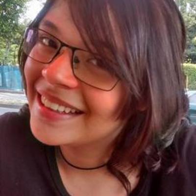 Timeline: Reflexión sobre el proyecto de vida a mediano plazo