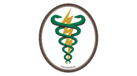 Timeline: HISTORIA DE LA FISIOTERAPIA