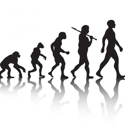 Timeline: EVOLUCION DEL HOMBRE