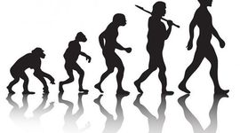 Timeline: EVOLUCION DEL HOMBRE