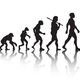 Evolucion del homb