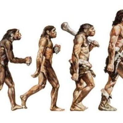 Timeline: Evolución Del Hombre