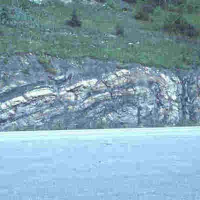 Timeline: Geologic Timeline- Edenstrom