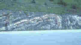 Timeline: Geologic Timeline- Edenstrom