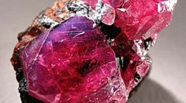 Timeline: Historical geologic timeline - Quincy Gaither