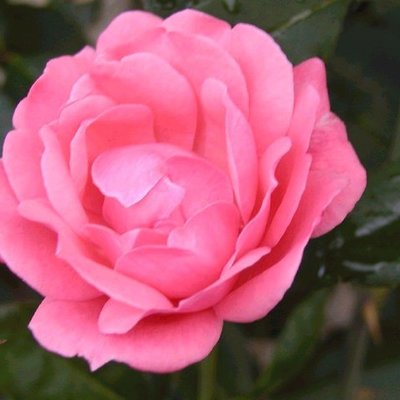 Timeline: Generaciones de los computadores