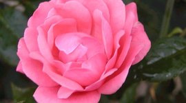 Timeline: Generaciones de los computadores