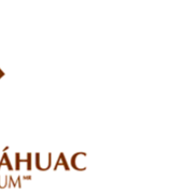 Timeline: Historia de la Administración