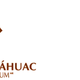 Logo anahuac