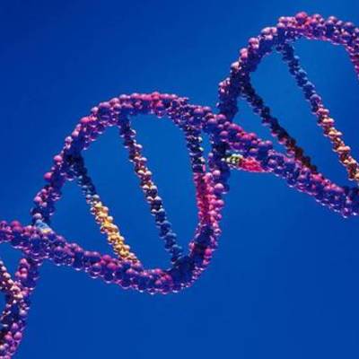 Timeline: Evolución de la genética