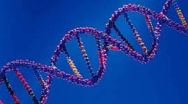 Timeline: Evolución de la genética