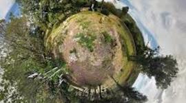 Timeline: Antecedentes de la Ecología