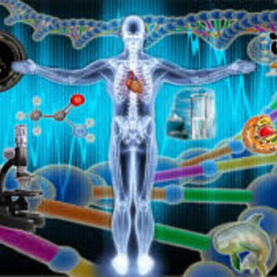 Timeline: Nacimiento y Desarrollo del  El Movimiento de Estudios Ciencia- Tecnología- Sociedad y Sus Principales Modelos y Paradigmas