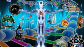 Timeline: Nacimiento y Desarrollo del  El Movimiento de Estudios Ciencia- Tecnología- Sociedad y Sus Principales Modelos y Paradigmas