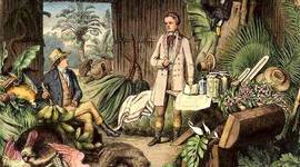 Timeline: Antecedentes de la Ecología