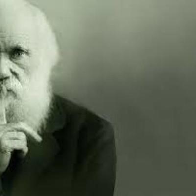 Timeline: Mapa conceptual sobre Darwin