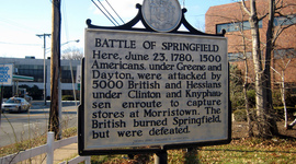 Timeline: The Battle Of Springfield Dan Palumbo