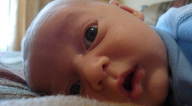 Timeline: Joey Ripper