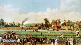 Timeline: Lily'sColonialTimeline