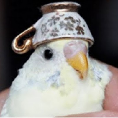 Timeline: My Timeline