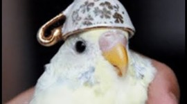 Timeline: My Timeline