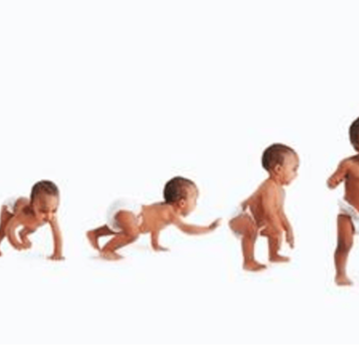 Timeline: FASES DE DESARROLLO MOTOR