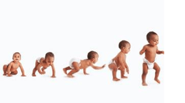 Timeline: FASES DE DESARROLLO MOTOR