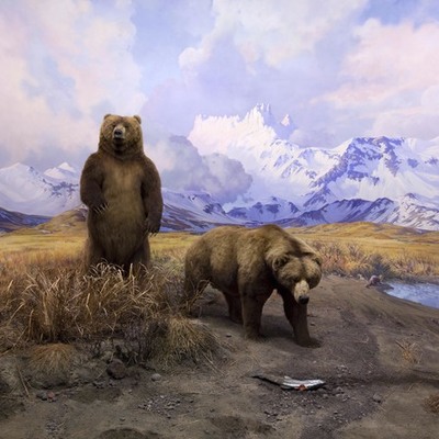 Timeline: Domesticating Wilderness