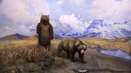 Timeline: Domesticating Wilderness