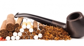 Timeline: Evalution of tobacco