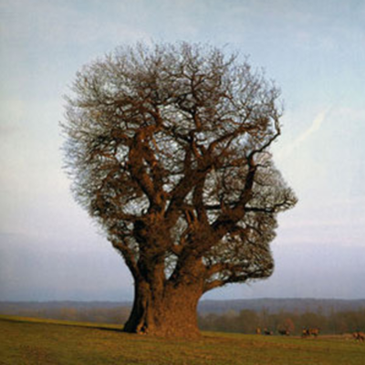 Timeline: Los naturalistas