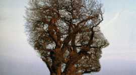 Timeline: Los naturalistas