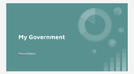 Timeline: My Government