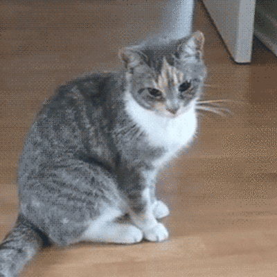 Timeline: My life as Alexis