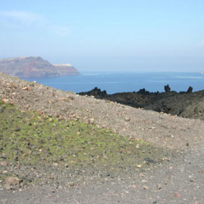 Timeline: March week 2 news