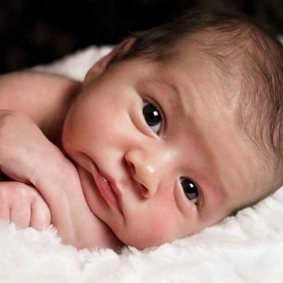 Timeline: linea de tiempo fertilización, hitos embriologicos, nacimiento.